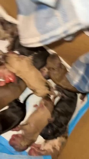 Kenneth Miller on Reels