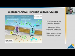 BIOL201 Ch5.3 | Active Transport