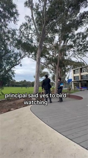 @𓅓 bird watching 🦅 #fyp #gat #vce
