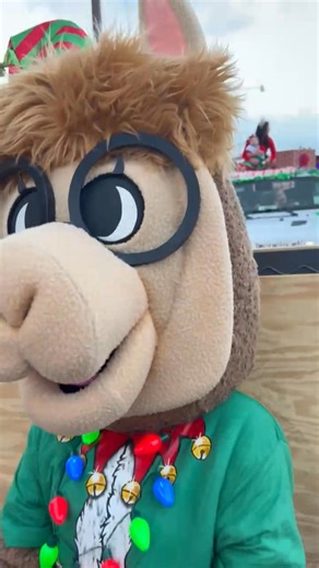 Poor Jeff, our beloved library llama, was caught in a candy caper while riding through the Christmas parade on Saturday. After much llama drama, he finally scored a sweet treat! | Jefferson Davis Parish Libraries