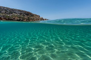 Sea temperatures have warmed two weeks ahead of schedule this summer