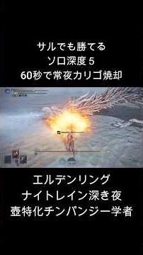 【ナイトレイン深度５】ソロ壺特化学者で常夜カリゴ60秒討伐【サルでも勝てる】 #shorts #nightreign