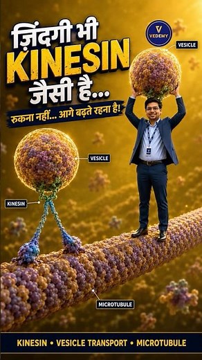 ज़िंदगी भी Kinesin जैसी है! 🧬 | Kinesin & Vesicle Transport Explained | CSIR NET Life Science