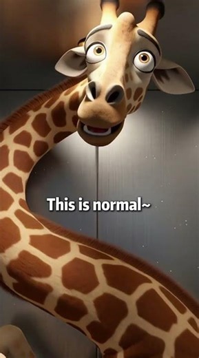 First Time in an Elevator… as a Giraffe