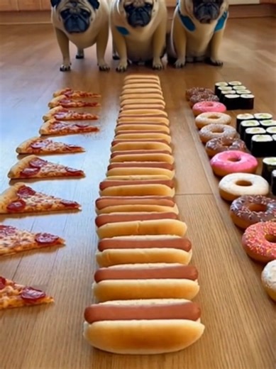 Daily Pug Logic: Food Choices with Humor