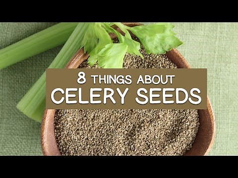 8 Things About Celery Seeds and Unique Uses