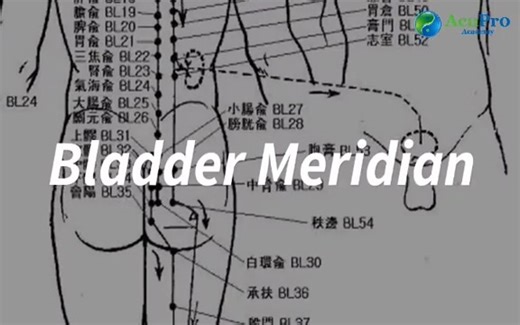 💥 The TCM Bladder absolutely fascinates me. It’s the longest, biggest, baddest meridian in the body… yet as a Fu organ, its main job is simply voiding water 🤯 But here’s what I really love about it 👇 In Chinese medicine, the Bladder isn’t just about fluids—it’s deeply connected to jealousy, suspicion, and long-held grudges. ✨ Key Bladder gems: • The Bladder removes water through Qi transformation (with help from the SI & San Jiao) • When the Bladder is imbalanced, we often see jealousy, suspi