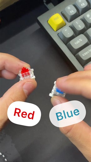 Red vs Blue Switch: Which One to Choose?