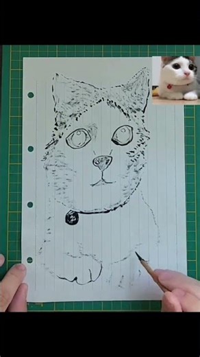 Time-lapse | Calligraphy art drawing Cat Meme - Cat Saying No