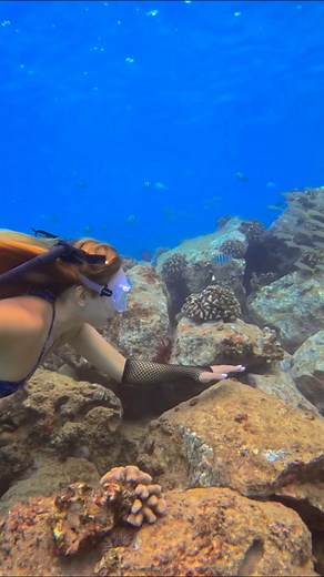 72K views · 1.1K reactions | This underwater world never ceases to fascinate me 隆‍♀️ #freedive #freediving #swimming #beachvibes #oceanlife #UnderwaterWorld #mermaid | Celesst Mar | Facebook