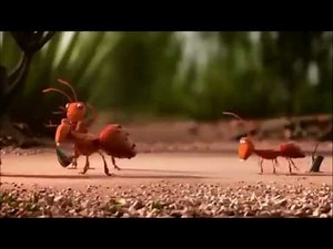 ACT NCR UNION:The Power of Union is Strength