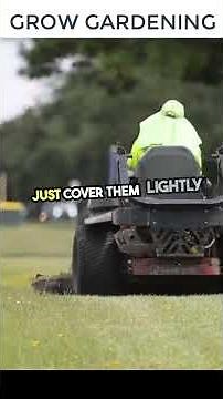 How to Fix a Lawn Full of Weeds and Bare Patches in 8 Easy Steps