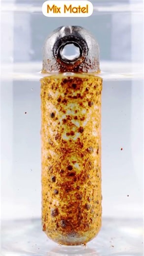 Extreme Rust Removal on Clevis Pin | Satisfying Acid Reaction Macro 4K