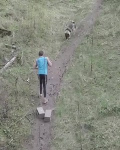 54 reactions · 7 comments | You don’t need a gym to feel your best. Try quick and easy home-fitness routines to boost energy, clear your mind, and improve longevity from America’s #1 fitness coach, Ben Greenfield. Learn more here: https://mindvalley.com/longevity/masterclass | Mindvalley | Facebook