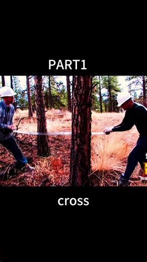 #AxMen#Shelby#HistoryChannel#LoggingLife#RealityTV | shelby