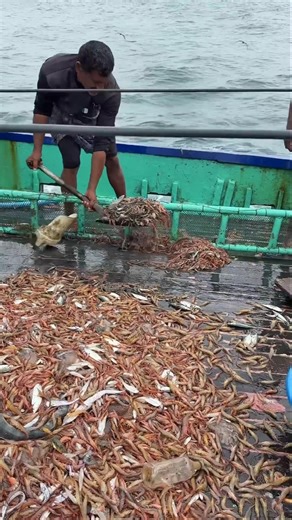 What Are These People Throwing Into The Sea? #shorts