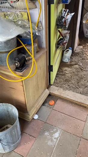 IT’S POPCORN PROCESSING TIME! After we harvest the popcorn we let it cure for a while before we shuck it. And then we break out the antique iron corn sheller, seen in action here! Once the kernels have parted ways with their cobs, we winnow them (we blow a fan through the kernels as we pour them into their storage bags in order to remove the chaff). We’ll pop some test batches from each bag to make sure it’s popping properly before we package it up for people to enjoy! | River Crest Farm