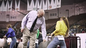 The pinnacle, the unrivaled, #TheGreatestShow | Oklahoma Youth Expo