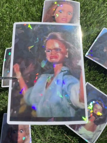 Barbie Stank Face Meme Stickers | Funny Vinyl Decals for Laptops, Water Bottles (6-pack) - Etsy