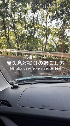2泊3日の屋久島旅！ぐるっと1周するおすすめスポット⛰️#屋久島 #屋久島旅 #屋久島旅行#カップル旅行 #カップル登山#同棲カップル