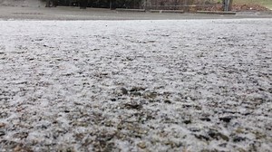 3.2K views · 26 reactions | The snow is sticking at our offices. What does it look like in your part of town? We're supposed to get up to 20 centimetres today: https://www.abbynews.com/news/even-more-snow-expected-for-lower-mainland/ | AbbyNews | Facebook