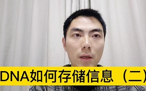 DNA存储第二集