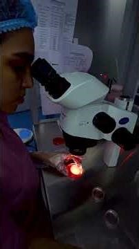 Behind the Scenes of an Egg Collection Procedure | IVF Journey | Precision, Care & Hope | Yana IVF