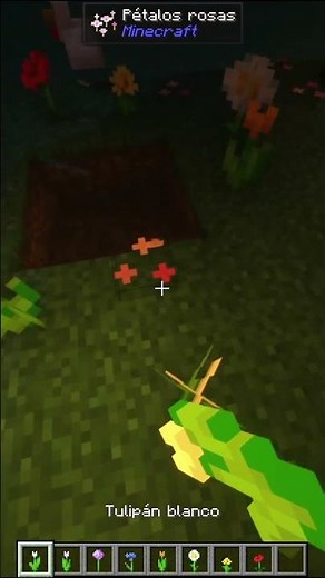 No sabía que este portal EXISTÍA en Minecraft 🔮😲 #shorts #minecraftshorts