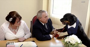 This dog stole the show as the 'best man' at his owner's wedding
