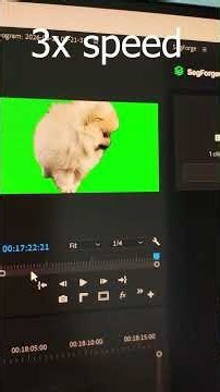This is HOW I Remove BG from my VIDEOS!