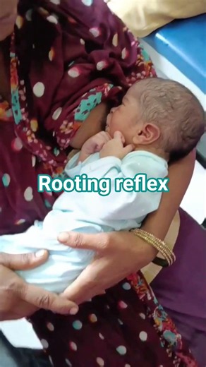 breast feeding #rooting reflex#shortsyoutube