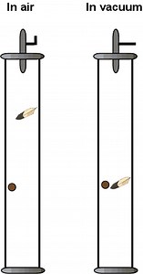 Building a Better Guinea and Feather