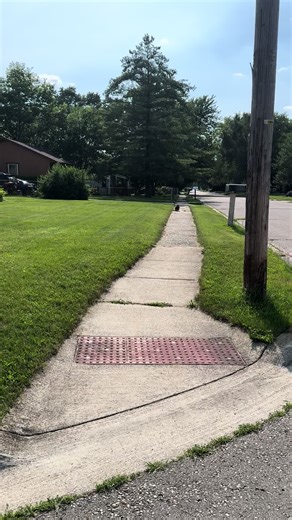 La tendencia de los mapaches en TikTok