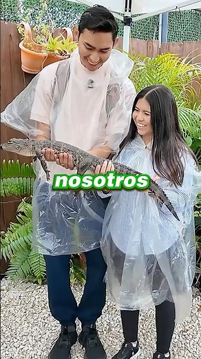 Visitando Las Casas De Los Famosos En Miami