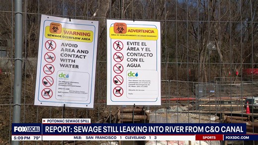 Sewage still leaking into Potomac River from C&O Canal: report