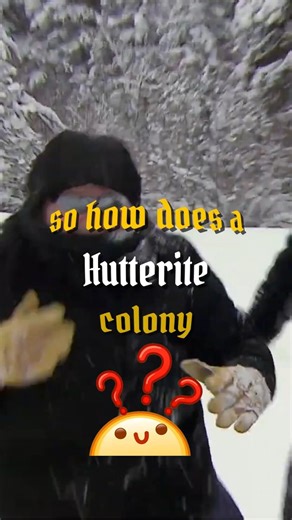 SO HOW does a HUTTERITE colony actually FUNCTION?