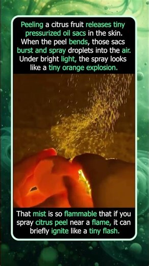Why Citrus Peels Spray Like a Tiny Explosion
