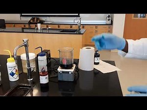 Endospore Staining - Schaeffer-Fulton Method