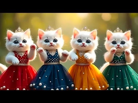 बिल्ली डांस | Cutest Cat videos funny dance🤣 💃 Videos for cats|Dancing cats #funny​ #dancing​