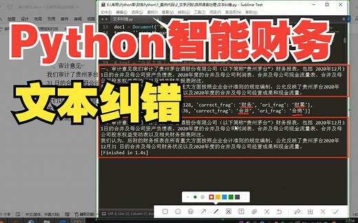Python智能财务|审计意见文本纠错