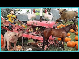 Caleb Pretend Play at REAL FARM WITH FARM ANIMALS FOR KIDS