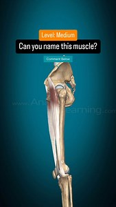 Can you Name this Muscle? | Medical Talks