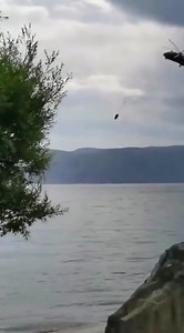 The helicopter with four crew members on board crashed into the Erhai Lake at 10:20 a.m. as it was attempting to draw water to clear and irrigate a burnt area caused by a forest fire, said the information office of the Dali municipal government. Two crew members were retrieved at around 11:40 a.m. and 3:15 p.m., respectively, but died despite emergency medical treatment, it said. Over 490 professional rescue workers with 16 rescue boats have joined the search operation for the missing crew membe