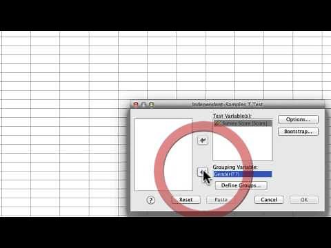 SPSS Student's t-Test (Two Groups)