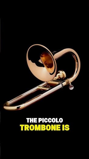 The Piccolo Trombone?! #trombone #trumpet #tuba #brassband #band #piccolo