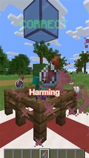 Mind-Blowing Minecraft Myths You Missed!