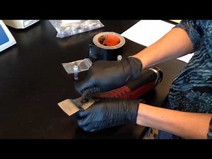How to use an oscillatory tool as a bead beater for DNA extractions