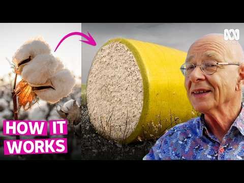 How Cotton Is Harvested In Australia (And Why It Uses Less Water)