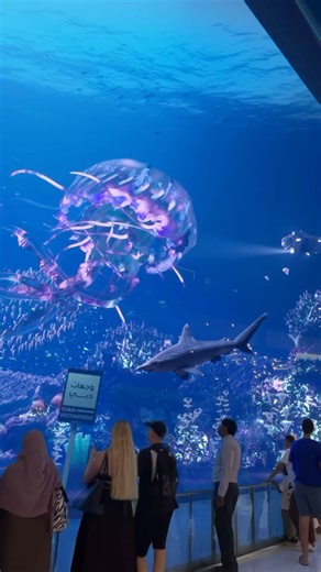 215K views · 1.9K reactions | Dive into the glowing mystical waters at Dubai Aquarium in Dubai Mall | UAE Labours | Facebook