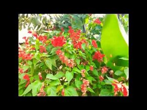 PATHFINDER BEATS( Audio 🎶🎶) 2021/2022 RANEN CONFERENCE